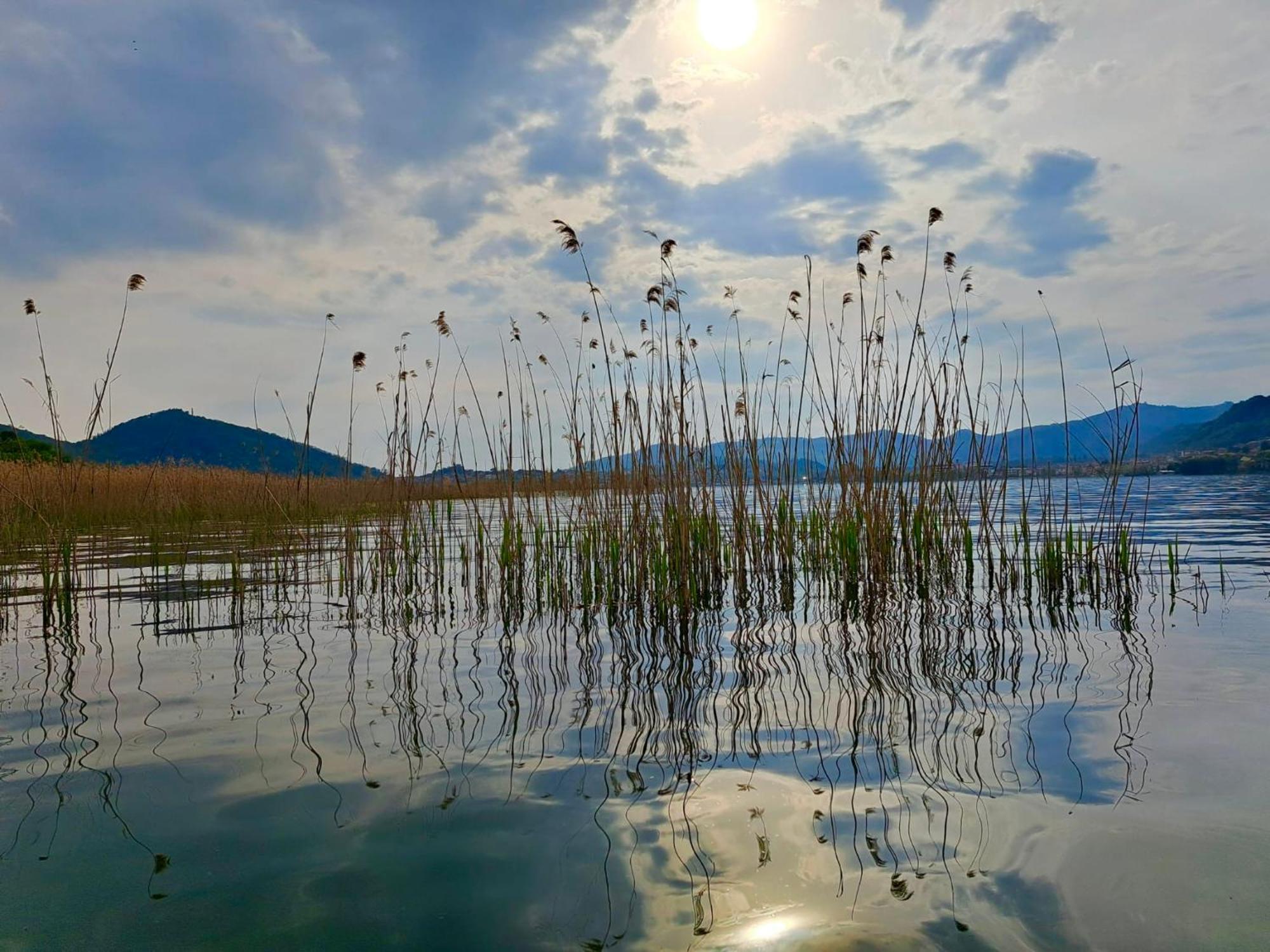 Costa Verde Natura Aparthotel Clusane Esterno foto